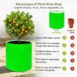 HDPE 18x18 Inch Circular Extra Thick Grow Bag | 260 GSM Bags for Terrace Gardening - Image 6