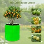 HDPE 24x24 Circular Grow Bags for Home Gardening | 260 GSM Plants Bags for Fruits, Vegetables & Flowers - Image 7