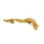 Hedychium Ginger Lily Orange Bulb - Image 2