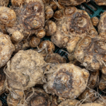 Calla Lily Bulb Black - Image 3