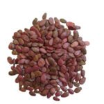 Watermelon (Tarbooj) Round Black F1 Hybrid Seeds - Image 6